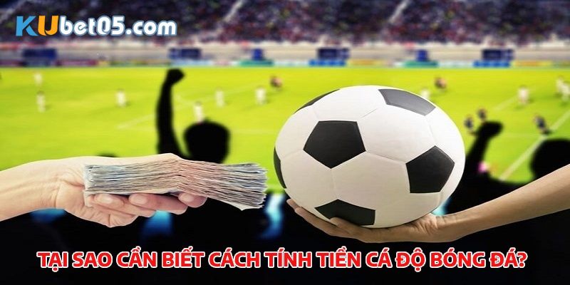Thông tin về cách tính tiền cá độ bóng đá và lợi ích mang lại