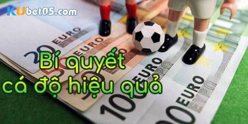 Bật mí mẹo đặt cược trong cá độ bóng đá